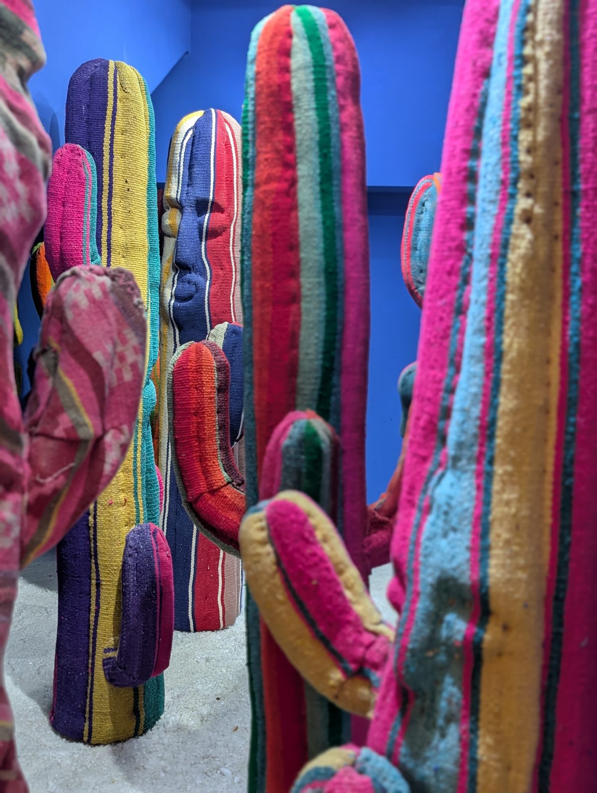 Gastón Ugalde's stuffed cacti, in the studio.