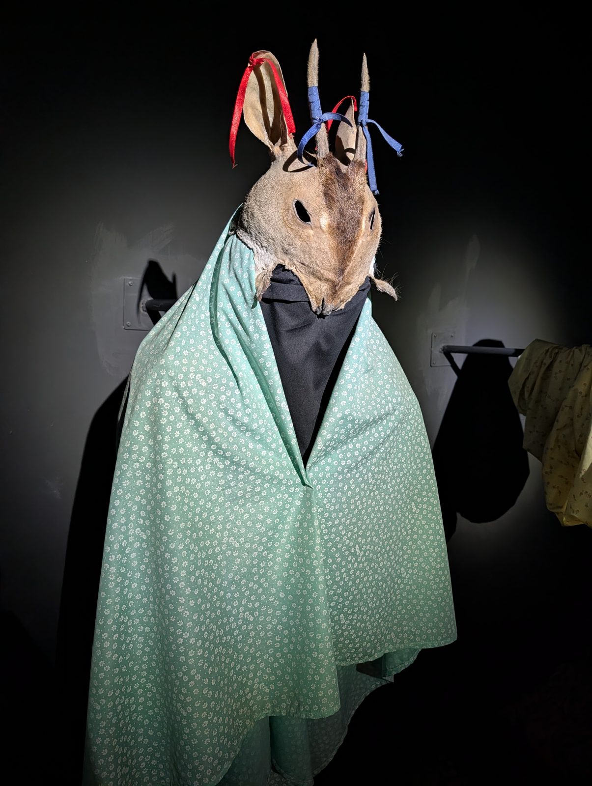 A deer under a cloak.