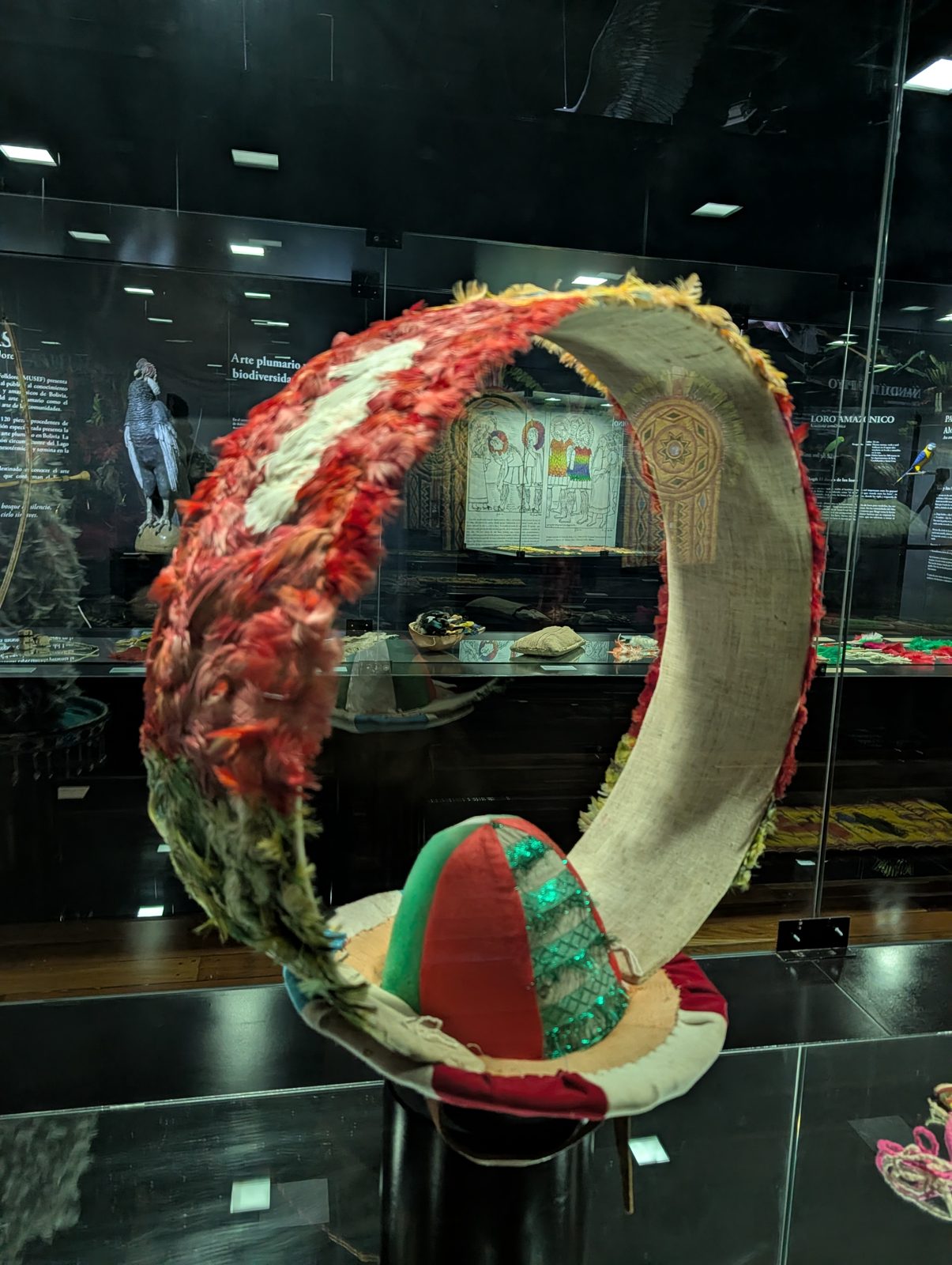 An arc of dyed feathers over a cap.