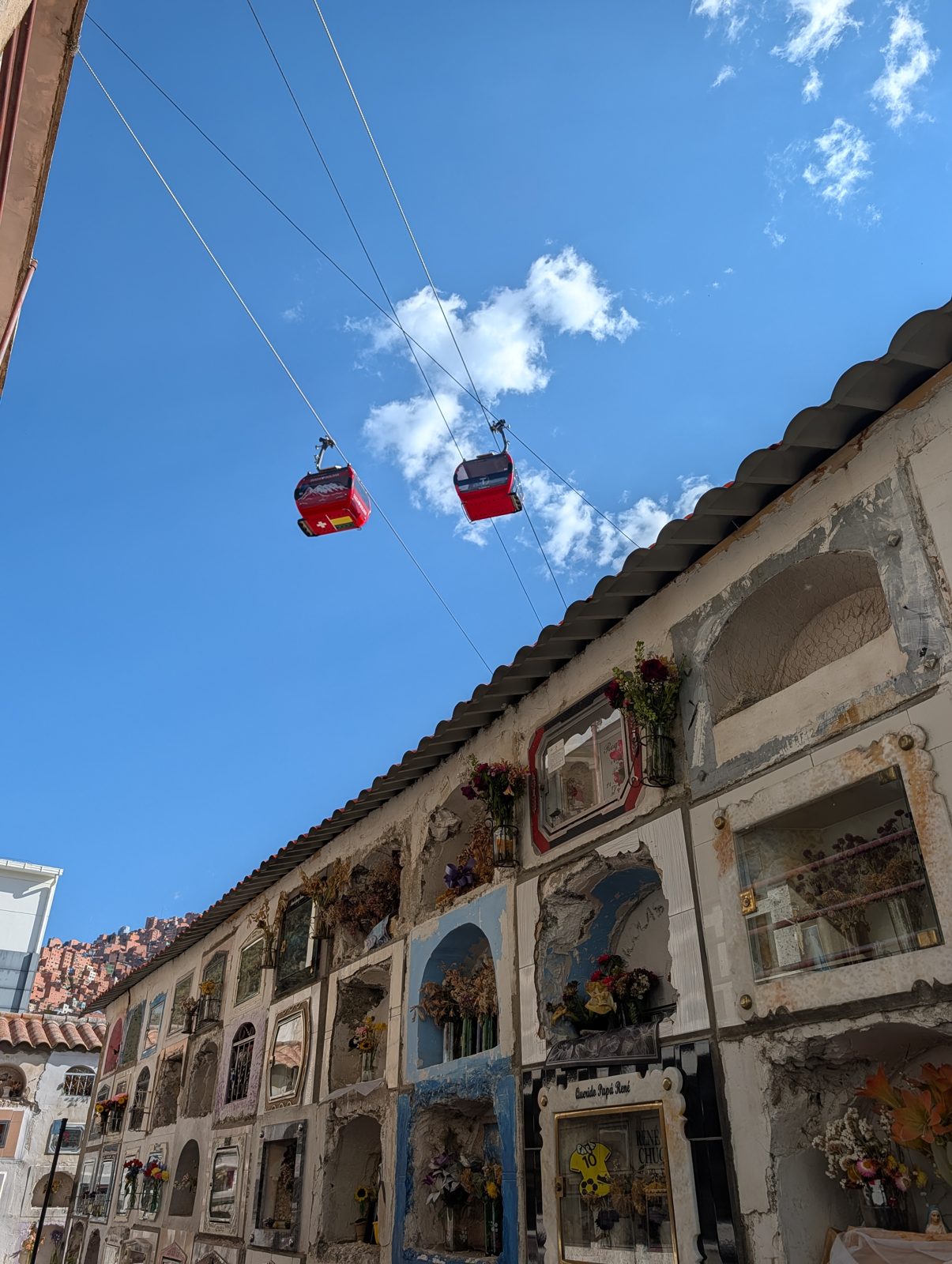 The General Cemetery. Niches six high, flowers in every window, cable cars overhead.