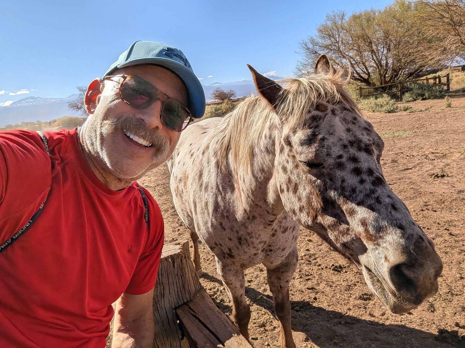 The preserve, and a horse that got into the selfie.