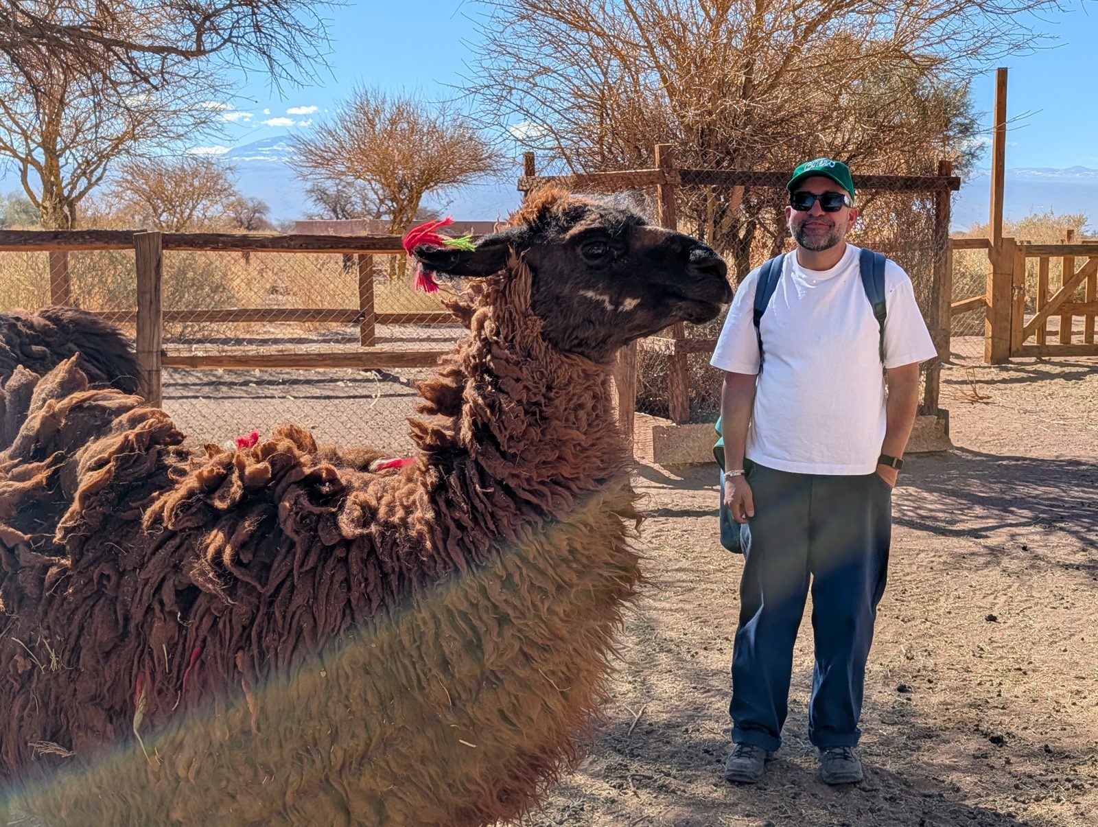Juan, and a llama that had opinions.