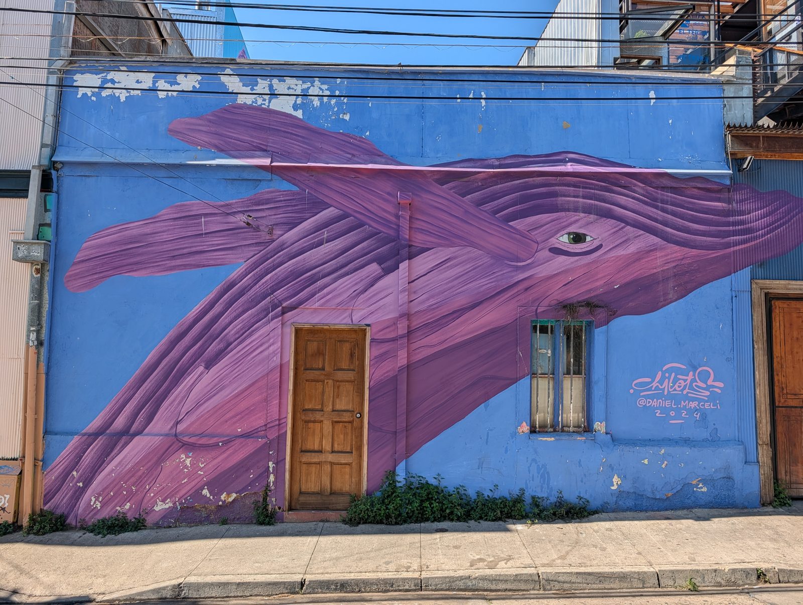 A whale on a house.