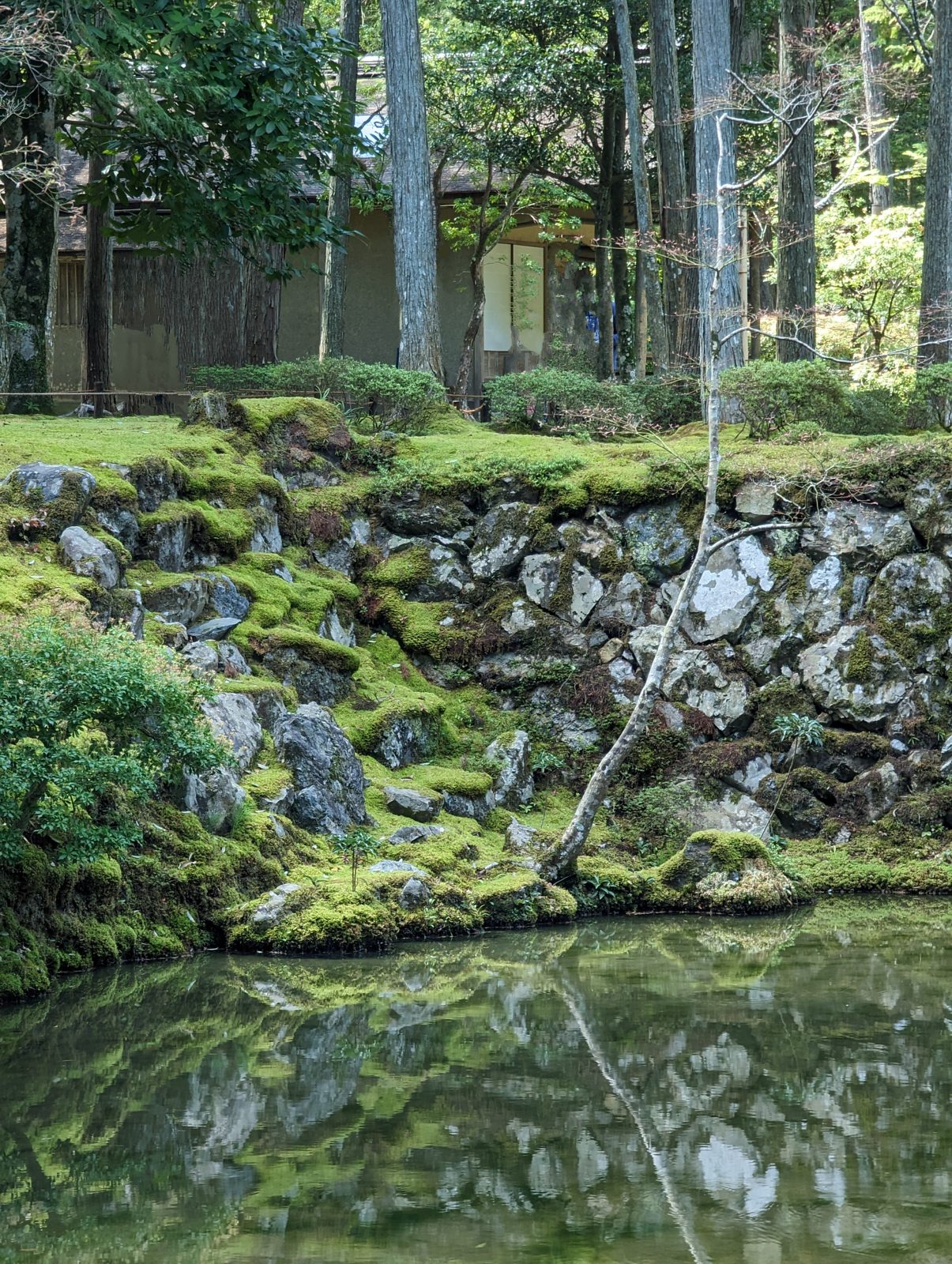The pond.