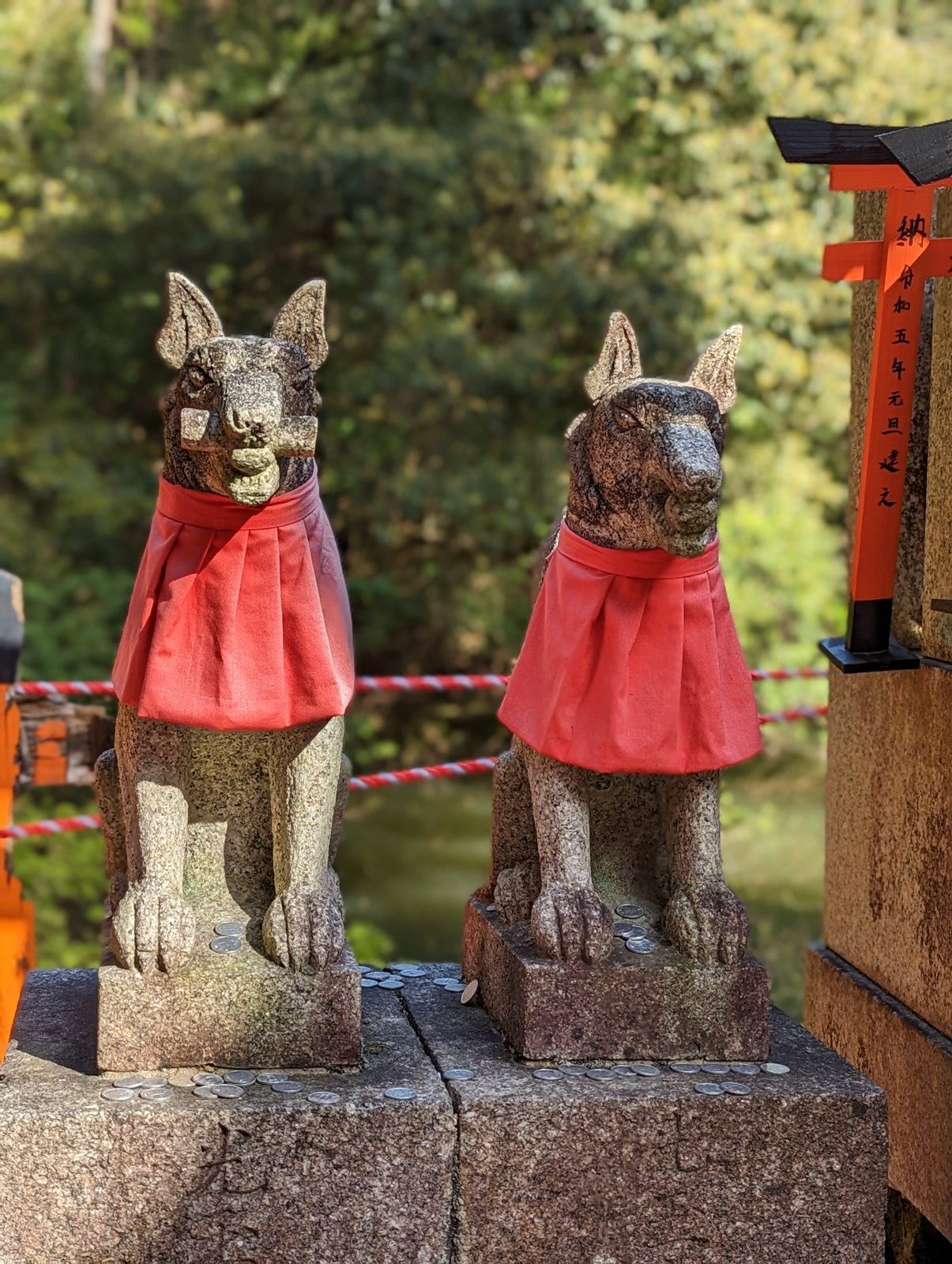 Two foxes in red bibs.