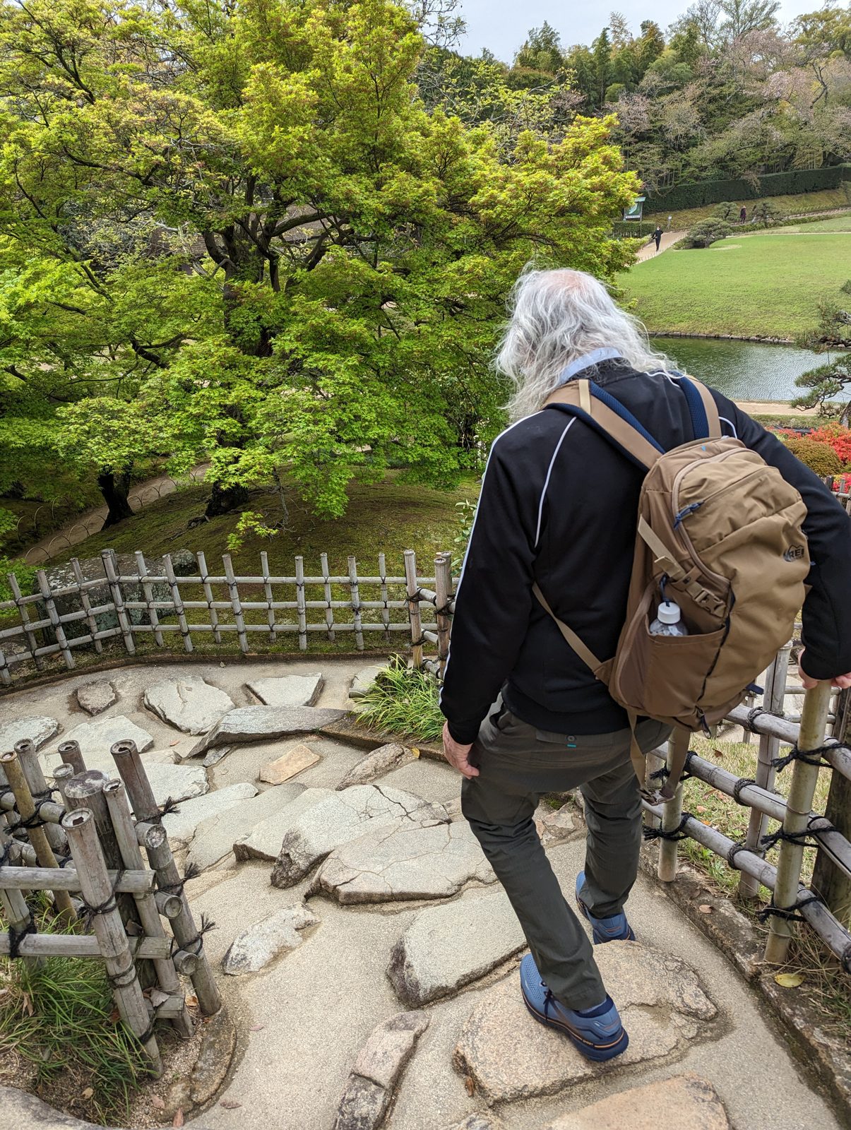 Stanley on the stepping stones.